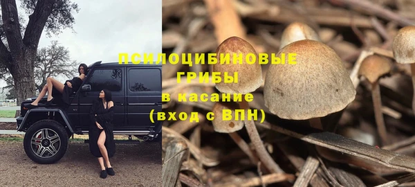 стаф Богородицк