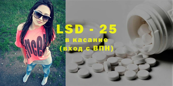 PSILOCYBIN Богданович