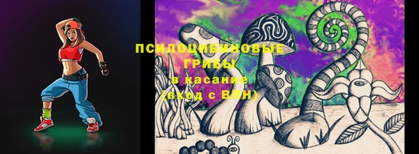 стаф Богородицк