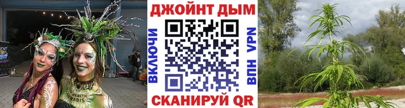 Бошки Шишки MAZAR  MEGA маркетплейс  Дубна  darknet формула  где купить  